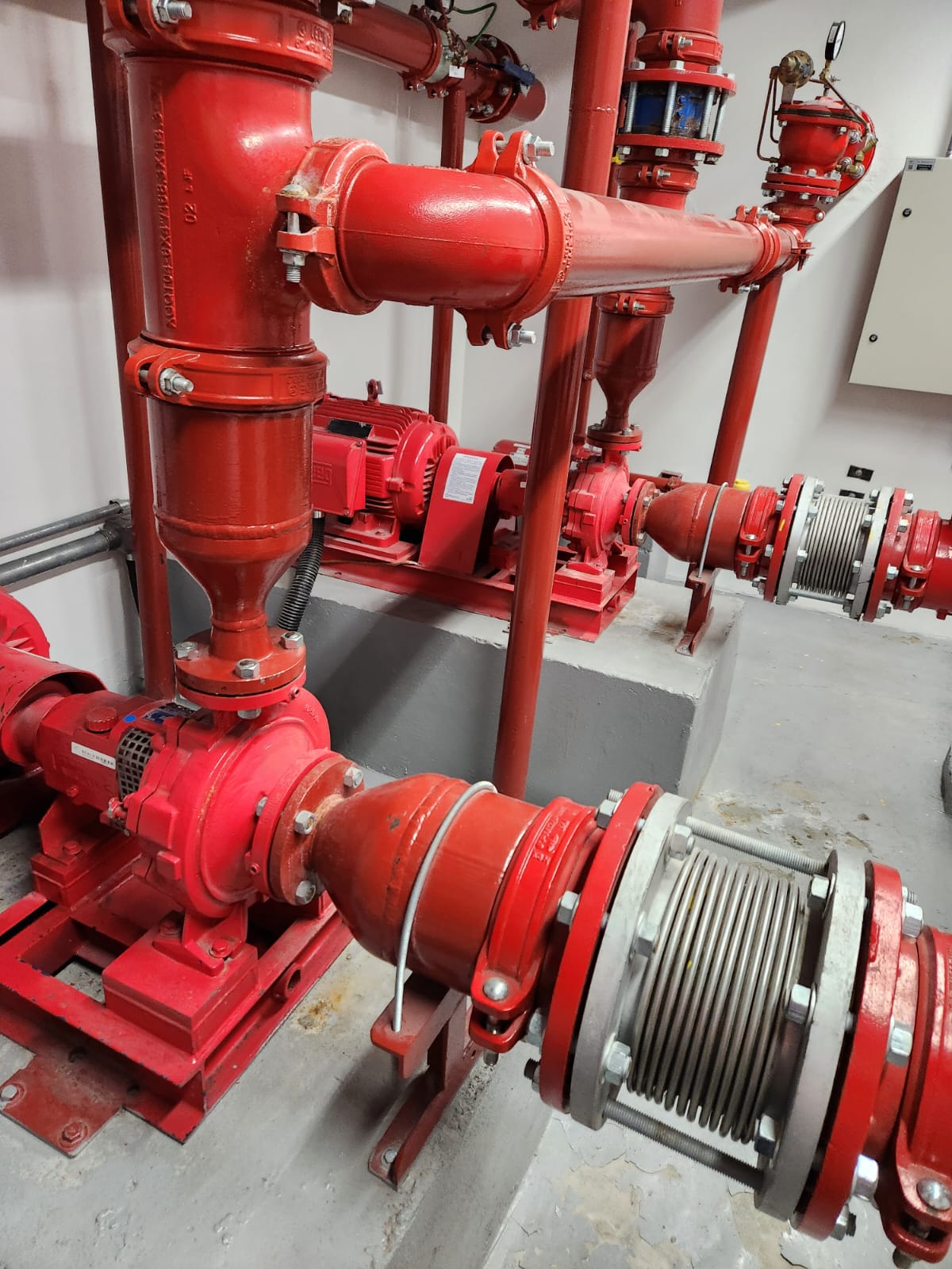 WhatsApp Image 2025-06-18 at 11.08.05 (1).jpeg