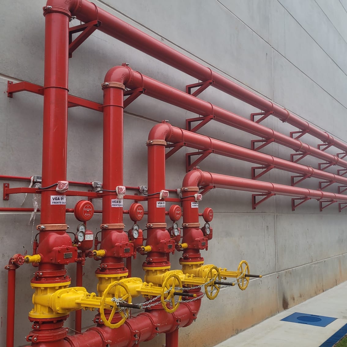 WhatsApp Image 2025-06-18 at 11.08.03.jpeg