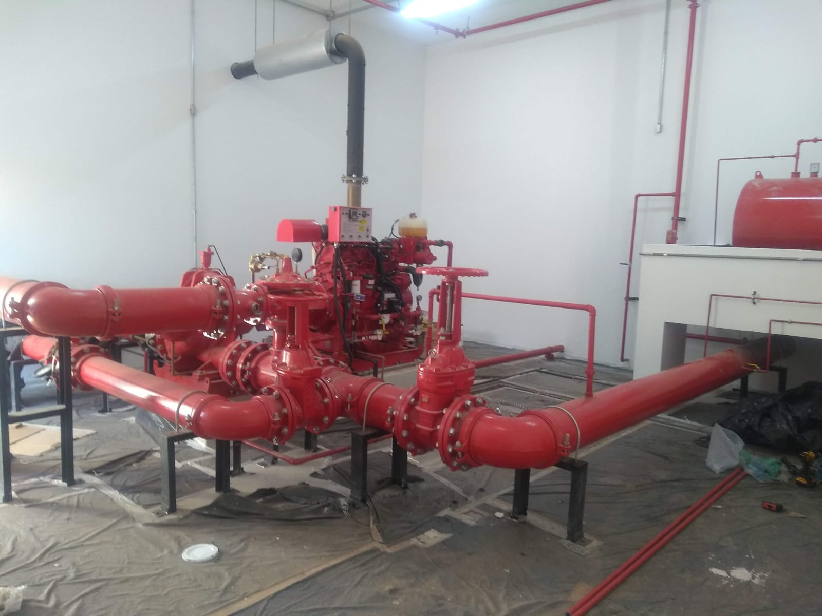 WhatsApp Image 2025-06-18 at 11.08.01.jpeg